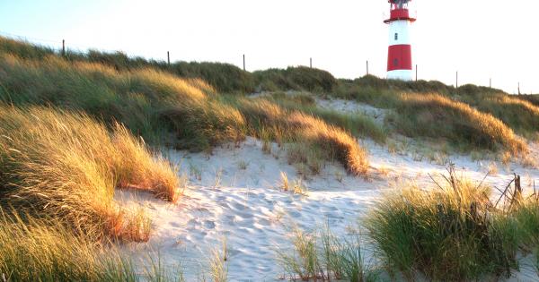 Deine Amrumer Ferienwohnung In Norddorf Zwischen Dünen, Strand Und Meer - HomeToGo