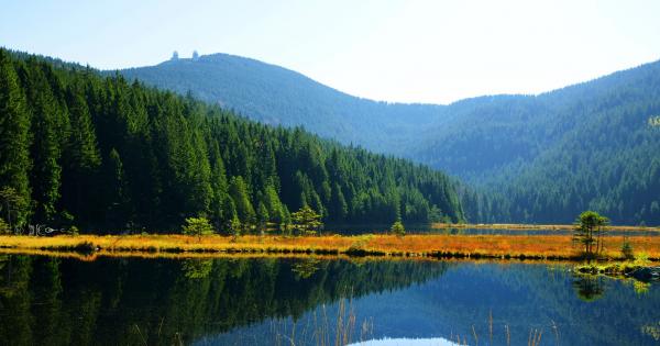 Ferienwohnung im Bayerischen Wald – das Fenster zur Natur - HomeToGo