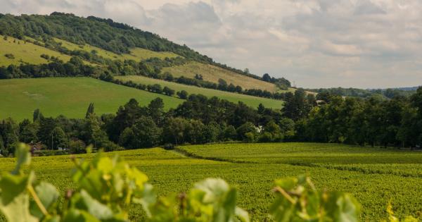 Experience the scenic beauty of Guildford with a holiday cottage - HomeToGo