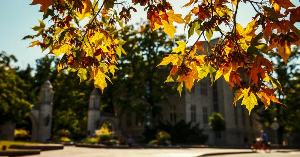 House Rentals in Bloomington - HomeToGo