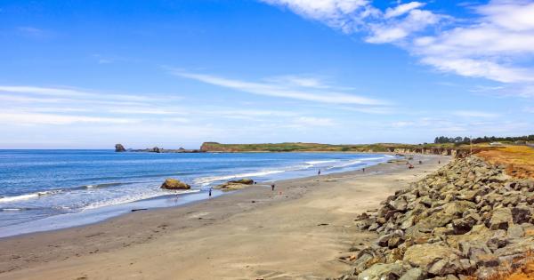 Relax amid the California redwoods from a Crescent City vacation home - HomeToGo