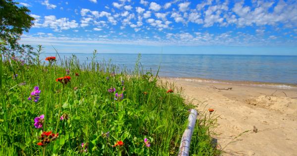 Drink in the local wine and lake views with Charlevoix vacation homes - HomeToGo