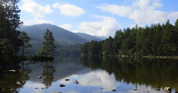 Aviemore Vacation Rentals: Feel at Home in Scottish Highlands - HomeToGo
