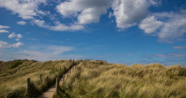 Discover the joys of Merseyside with a Formby holiday letting - HomeToGo