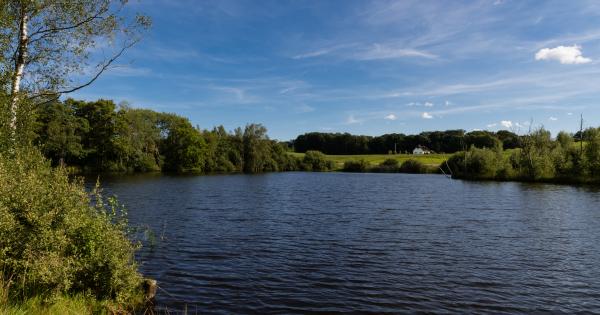 Live like a Viking with a holiday letting in Billund, Denmark - HomeToGo