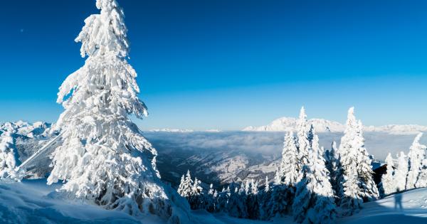 Oostenrijks winter- en zomerplezier vanuit uw vakantiehuis in Wagrain - HomeToGo
