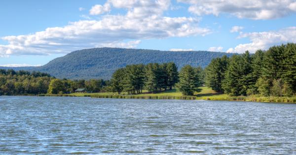 Relax at your Lake Harmony vacation rental, or day trip to New York - HomeToGo