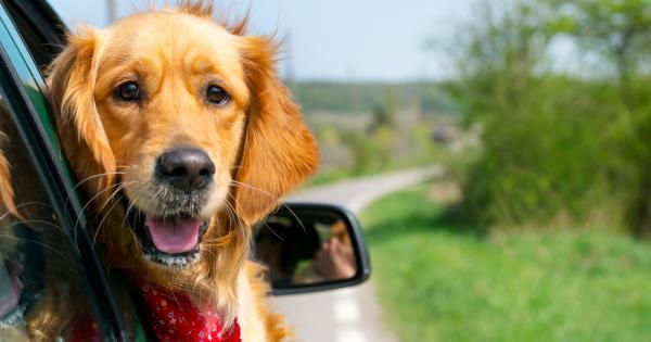 Bayern Urlaub mit Hund - HomeToGo
