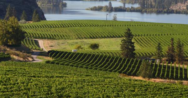 Have an Outdoor Adventure from your Penticton Vacation Rental - HomeToGo