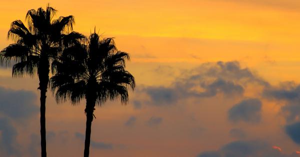 Enjoy the ultimate island adventure at a Hawi vacation home - HomeToGo