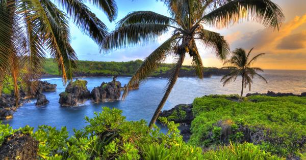 Vacation Rentals in Maui