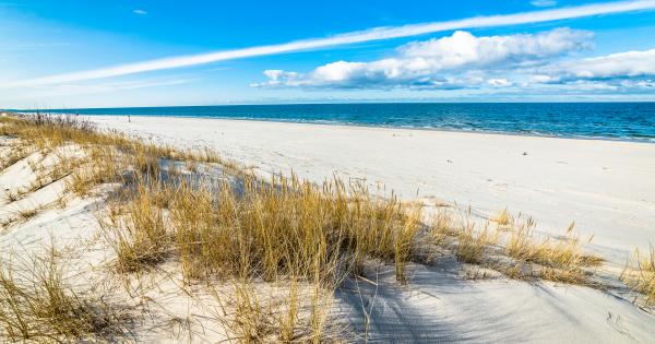 Die Ostsee mit einer Ferienwohnung im polnischen Grzybowo genießen - HomeToGo