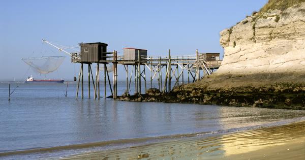 Location de vacances à Saint-Georges-de-Didonne, nature et patrimoine - HomeToGo