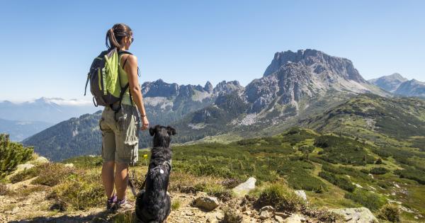 Urlaub in den Bergen mit Hund - HomeToGo