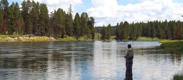Angler im Yellowstone Nationalpark, USA