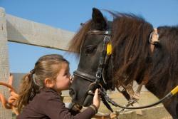 Mädchen & Pony - Ponyreiten im Ferienpark