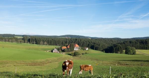 Bauernhof im Schwarzwald
