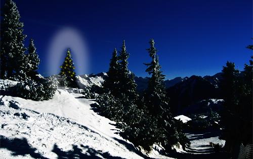 Weihnachtsbaum in Schneelandschaft