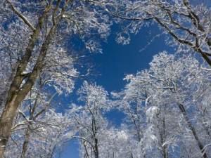 Davos' zauberhafte Winterlandschaft