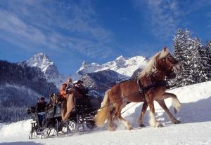 Romantische Pferdekutschenfahrt durch Schneelandschaft