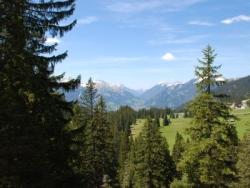 Blick auf den Bayerischen Wald