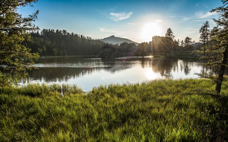 Rapid City Vacation Rentals from 70 HomeToGo