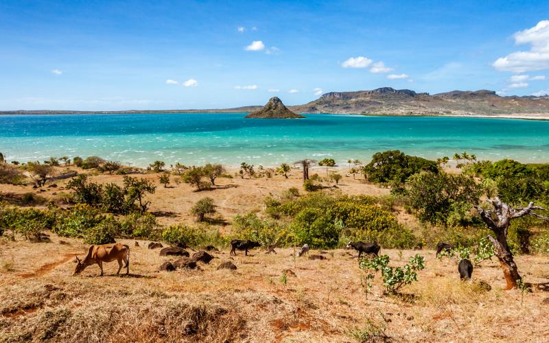 Madagascar Vacation Rentals from 18 HomeToGo