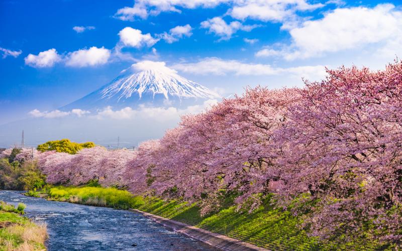 locations-vacances-au-japon-d-s-27-hometogo