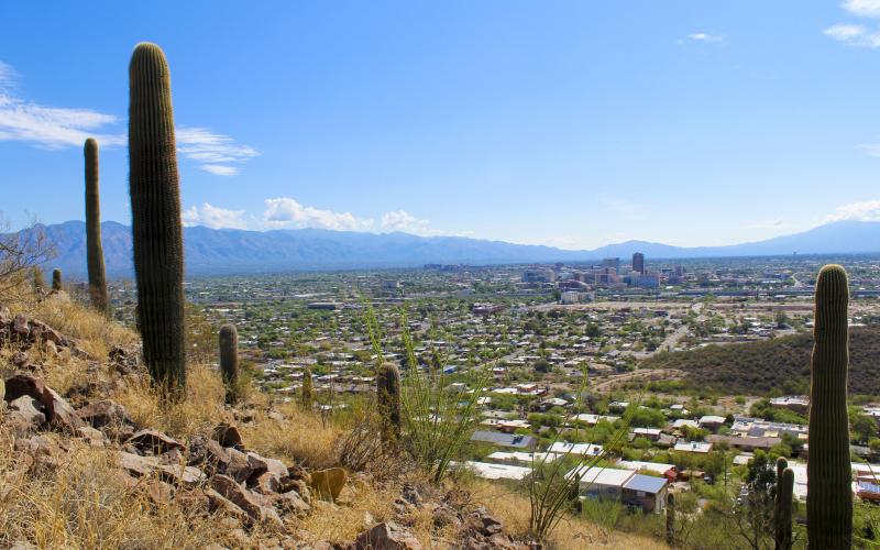 Oro Valley Vacation Rentals from 43 HomeToGo