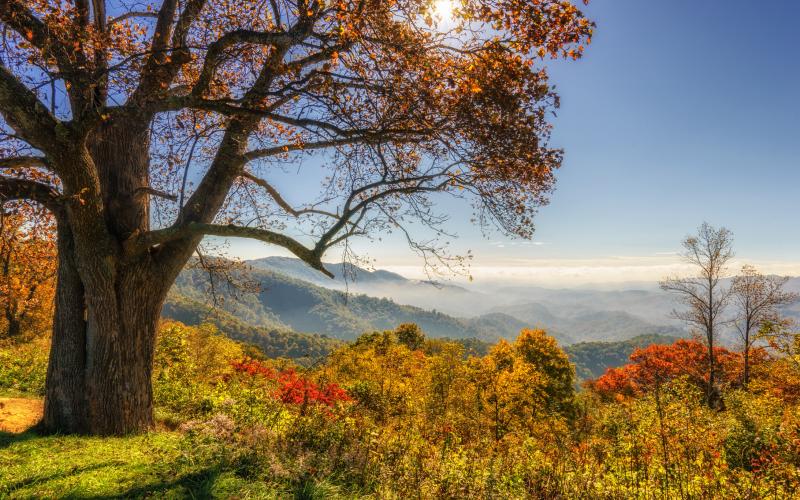 Top North Carolina Mountain Vacations (Vacation Inspiration!) HomeToGo