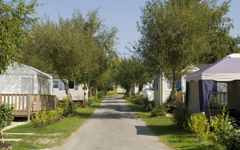 Camping auf Usedom Top Angebote HomeToGo