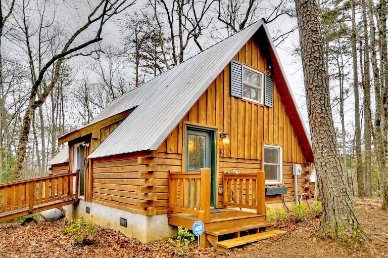 The 5 Best Pet Friendly Beaches In Rentals