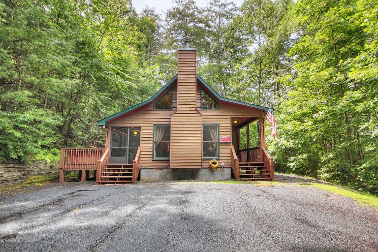 The 5 Best Pet Friendly Beaches In Rentals