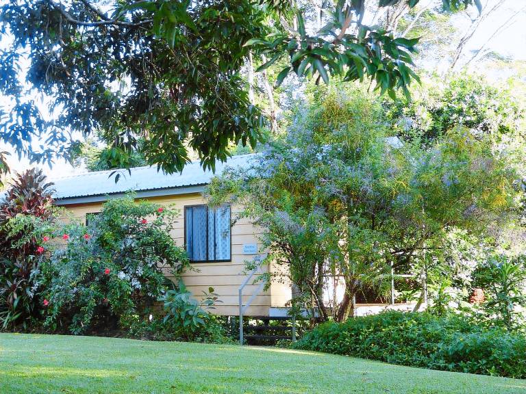 Holiday houses & accommodation in Daintree