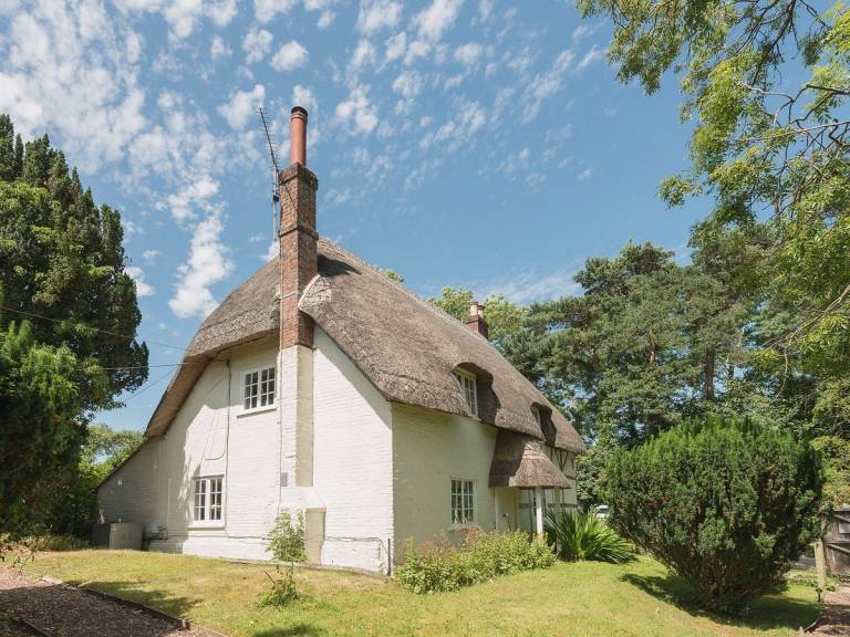 Escape to the New Forest with Fordingbridge holiday lettings - HomeToGo