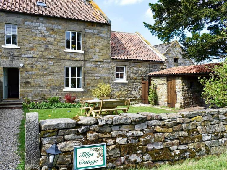Spot whales and dolphins near Goathland holiday lettings - HomeToGo