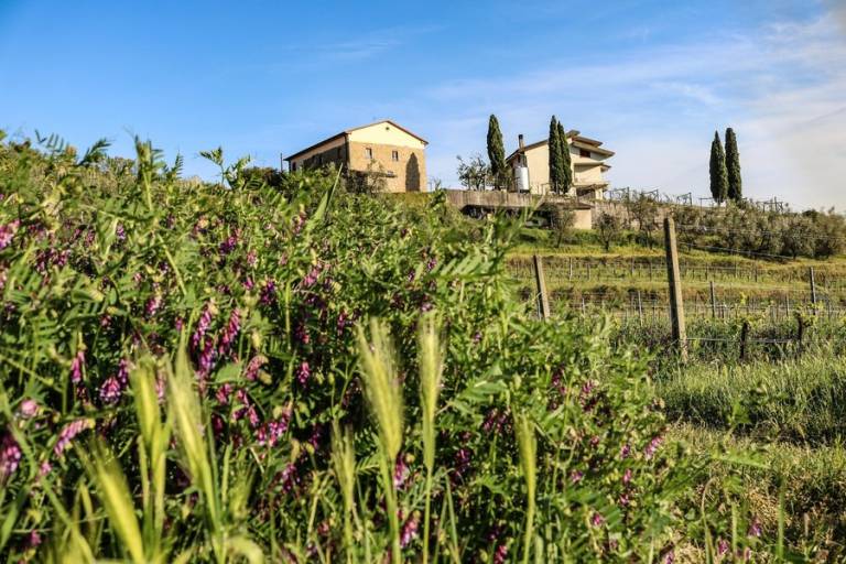 Case vacanza a Lamporecchio: scoprite la Toscana della Valdinievole - HomeToGo
