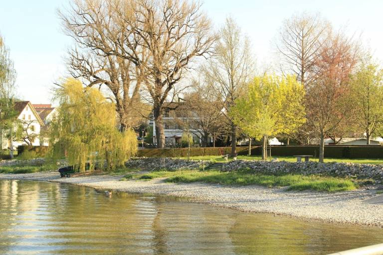 Ferienwohnungen & Unterkünfte in Dingelsdorf  - HomeToGo