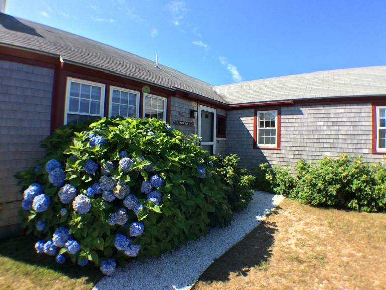 Nantucket Vacation Rentals & House Rentals from 231 HomeToGo