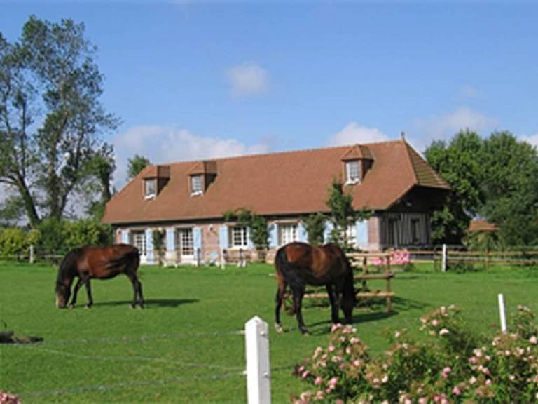 Découvrez Paluel en chambre d'hôtes, un petit village normand avec bien des trésors - HomeToGo