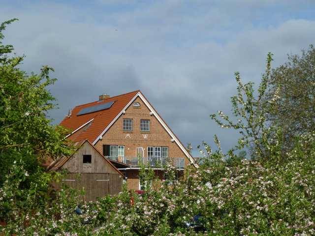 Ferienwohnung in Krautsand – idyllische Strandferien auf der Elbinsel - HomeToGo