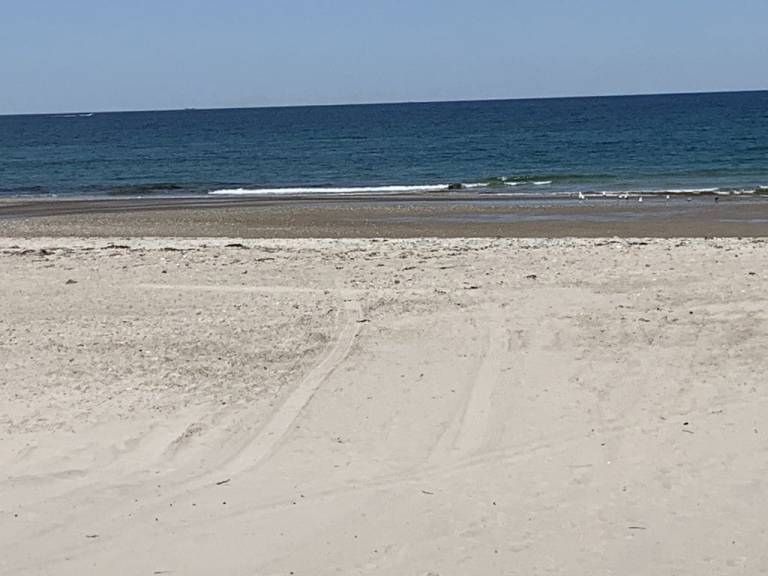 Top Priscilla Beach Vacation Rentals