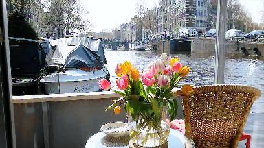Båd Pool Amsterdam Oud-Zuid
