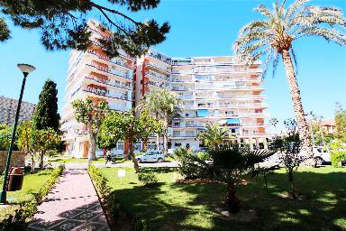 Lägenhet WiFi Alicante