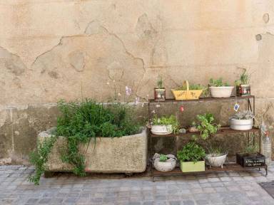 Apartment Kitchen Bize-Minervois
