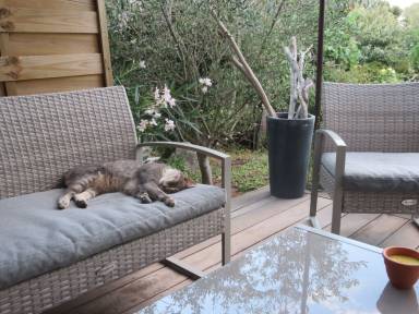 Ferienhaus Porto-Vecchio
