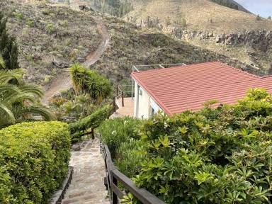 Ontdek wonderlijk Tenerife vanuit een vakantiehuisje in Guía de Isora - HomeToGo