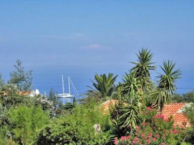 Appartement Brando