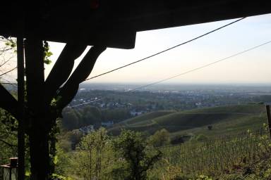 Ferienhaus Kamin Friesenheim