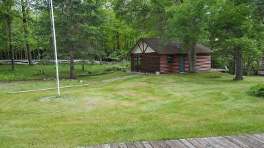 Cabin Pet-friendly Birch Lake Township